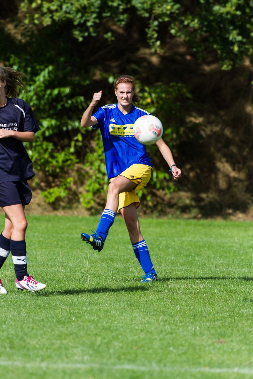 Bild 354 - Frauen TSV Gnutz - SG Slfeld/Oe/Se/Stu : Ergebnis: 2:3